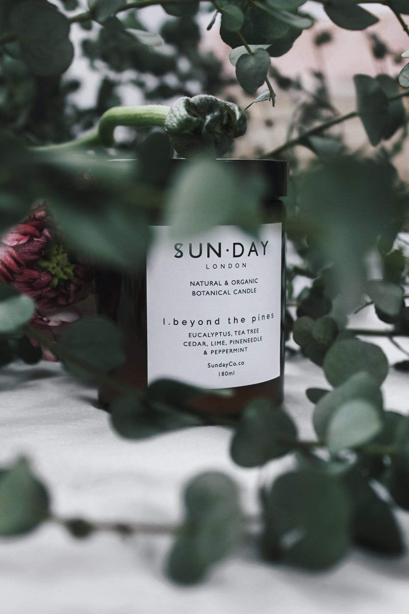 Luxury Vegan Candle | Beyond the Pines 180ml